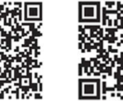 ecusa_id_15128