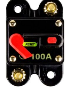 RCB100