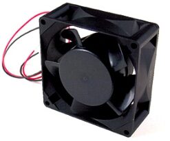 CF1