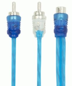 R2Y1.10