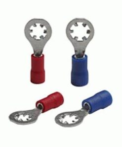BVSRT8