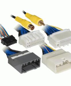 ecusa_id_12326